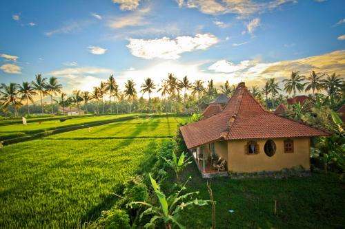 www.dragonfly-village.com