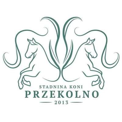 www.przekolno.pl