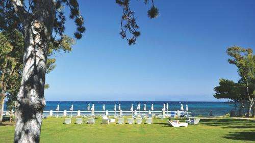 www.amareitalia.com
