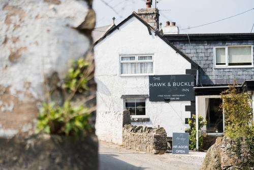 www.thehawkandbuckle.co.uk