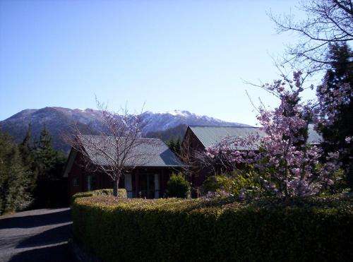 www.forestpeak.co.nz