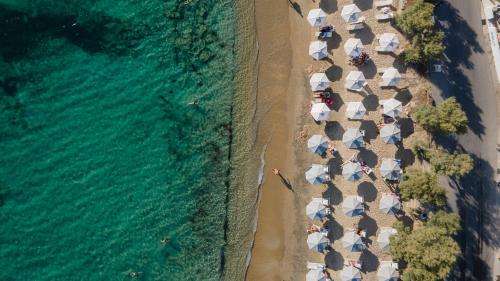 www.naxiansoul.gr