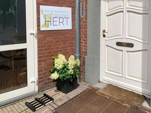 www.hetgoudenhert.com