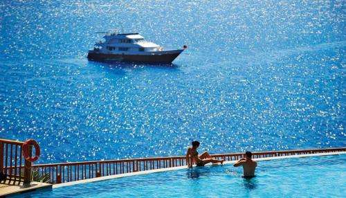 www.reefoasisresorts.com