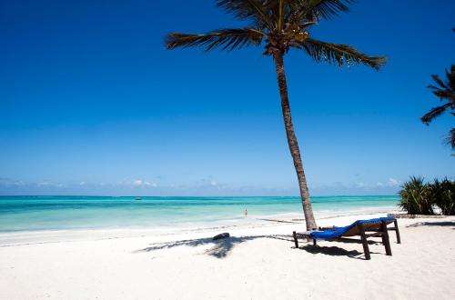 www.karafuuzanzibar.com
