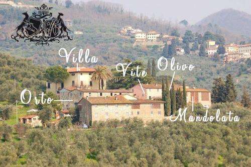 www.fattoriadifubbiano.it