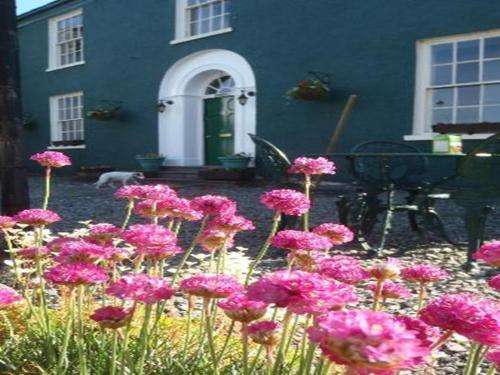 www.ivyguesthousehawkshead.co.uk