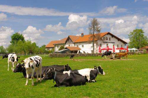 www.aubergedupeupe.ch