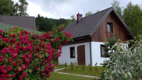 www.domkiagas.pl