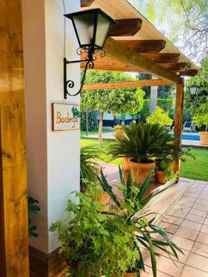 www.casa-adelante.com