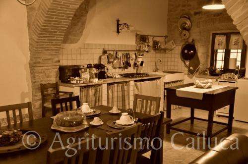 www.cailuca.it