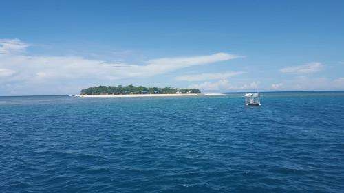 www.arenaisland.com