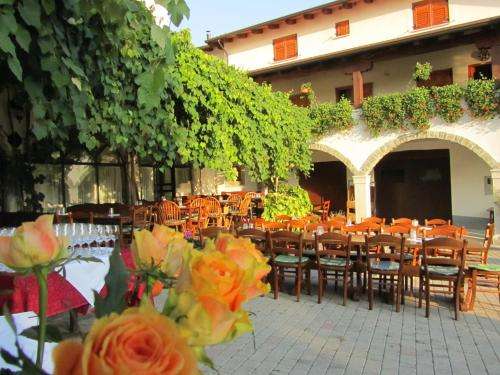 www.arkade-cigoj.com