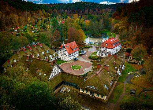www.oliwskadolina.pl