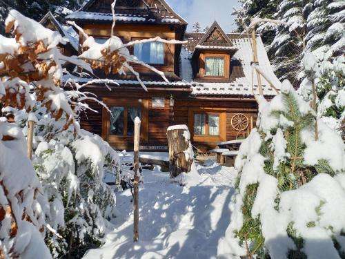 www.goodbyeleninhostel.pl