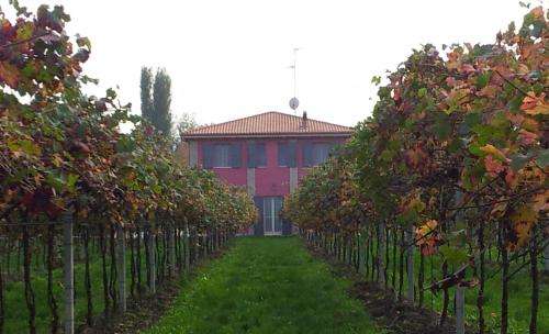 www.agriturismofondogesu.com