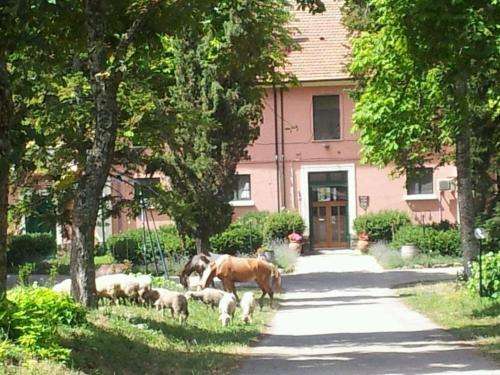 www.agriturismovilladellerose.it