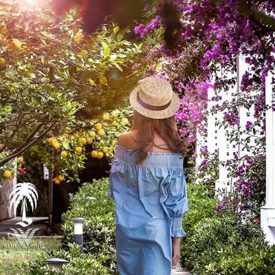 www.bluewhitehotel.com