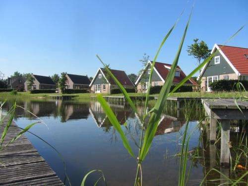 www.vakantieparkeigenwijze.nl