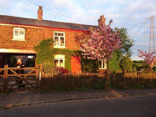 www.cheshirebreaks.com
