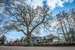 Oak Tree Inn