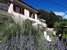 Apartment and B&B Mikleus