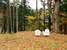 Black Bear Lodge