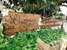 Liwayway sa Bohol - Pamilacan Bed & Breakfast