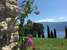 Agriturismo Casa del Castagneto