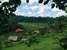 Bali Lush