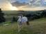 Pukeatua Farmstay