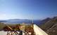 Cori Rigas Suites
