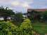 Leo wodden Resort