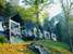 Woodrose Resort