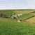 Coombe Farm