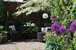 The Hollies Bed and Breakfast