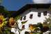 Agriturismo Apartments Tuene