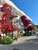 Residence Jolly