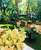 Garden Boutique Hotel
