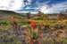Watermill Farm Cottages