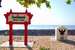 Rocky Point Resort