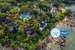 Kamala Beach Estate Resort - SHA Plus