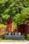 South Garden Hotels And Resorts