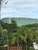 B&B Forest Hill Khao Yai