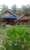 Surf Camp Siberut