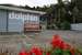 Dolphin Motel