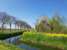 B&B Het Zwanennest