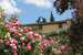Agriturismo Mansi Bernardini