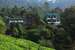Camelot Resort