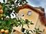 Agritur Il Tempo delle Mele